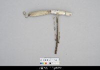 藏品(人形淨琉璃-左胳膊)的圖片